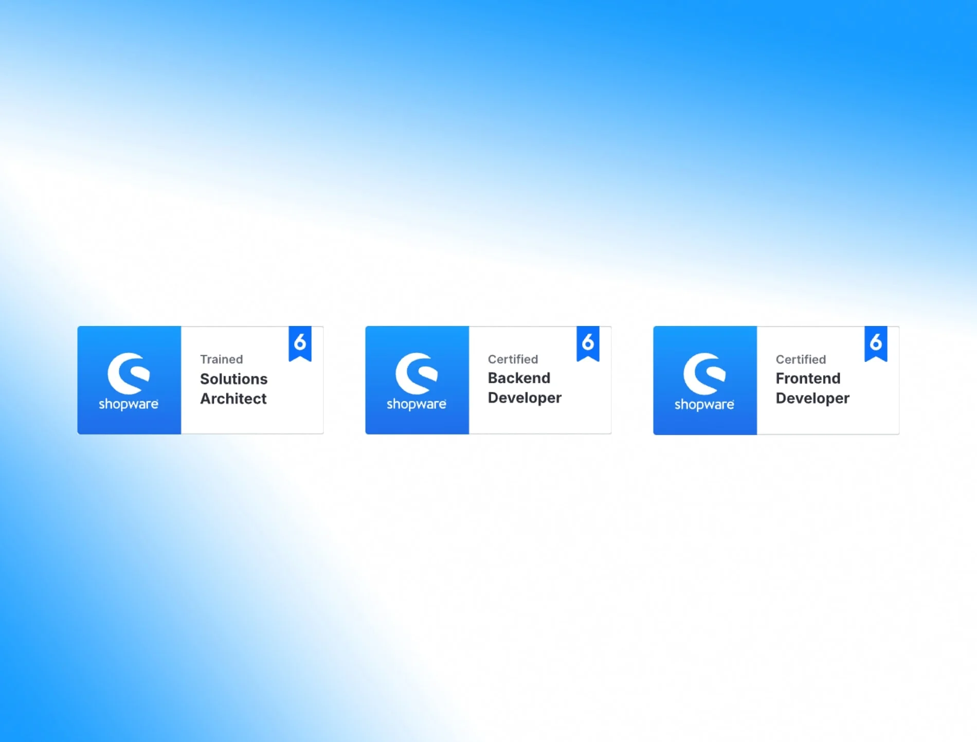 Shopware 6 Zertifizierter Partner